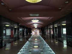 -青岛贝壳博物馆