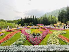 -深圳仙湖植物园