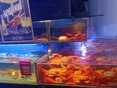 -驻海渔市(置信店)