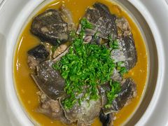-华膳楼·安徽地标美食·中华餐饮名店(文化公园店)