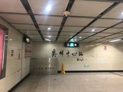 -奥体中心(地铁站)