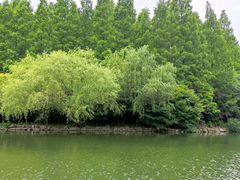 -东平国家森林公园