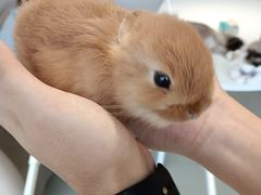 -怪兽屋·羊驼·猫咖·狗咖(俊华广场店)