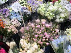 -循礼门鲜花花市(武汉循礼门店)