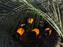 -J Create城市露营咖啡·简餐·宠物(上海动物园店)