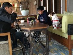 -上海崇明金茂凯悦酒店