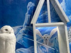 -成都浩海立方海洋公园