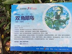 -深圳野生动物园