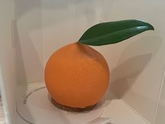 -TD66高山铁皮石斛养生茶饮