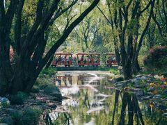 -上海共青森林公园