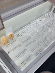 -AI艾耳·专业手工耳洞·穿孔美学馆