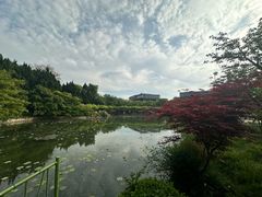-嘉定紫藤园