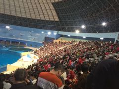 -泉城欧乐堡海洋极地世界