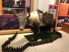 -迪庆藏族自治州博物馆