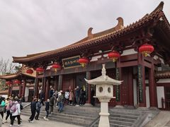 -神州牡丹园
