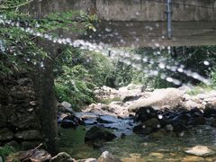 -少华山国家森林公园