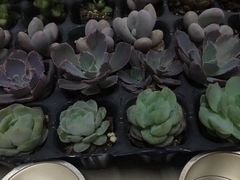 -丽达购物中心(崂山店)