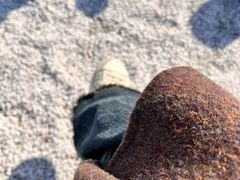 -天鹅湖体育公园