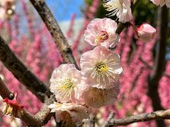 -静安雕塑公园