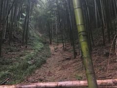 -东天目山风景区