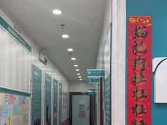 -瑞派中心宠物医院·CT·核磁·神经专科