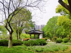 -堤角公园