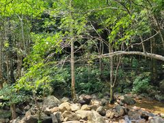 -姑婆山旅游区