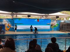 -厦门海底世界