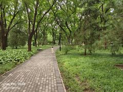 -玲珑塔公园