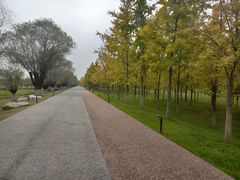 -汉长安城未央宫国家考古遗址公园