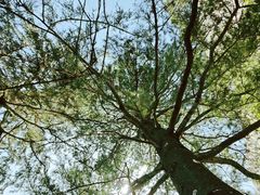 -华山风景名胜区