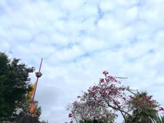 -胡里山炮台
