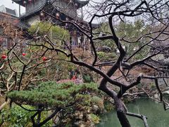 -胡雪岩故居