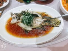 -顺风海鲜港(金玉兰店)