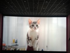 -百丽宫影城(IMAX万象城店)