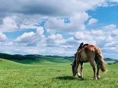 -塞罕坝国家级自然保护区