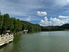 -顺峰山公园