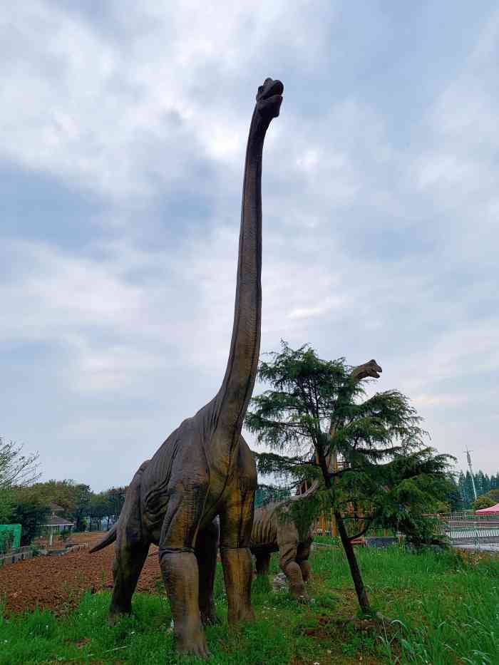杭州恐龙梦公园