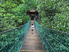 -石台牯牛降景区