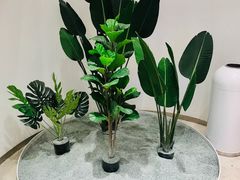 -欢饮(王府井总店)