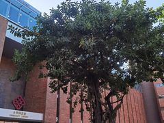 -香港理工大学