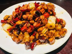 -陈麻婆豆腐总店