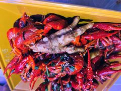 老武汉油焖大虾-可可大虾武汉土菜大排档(万松园1店)