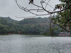 -广州市石门国家森林公园