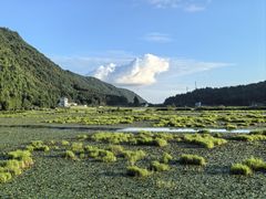 -腾冲北海湿地