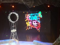 -重庆国际马戏城