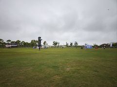 -春花秋色城市公园