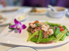-云中小雅