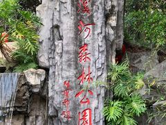 -广州市流溪河国家森林公园