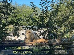 -北京野生动物园